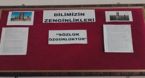 28-10-2024